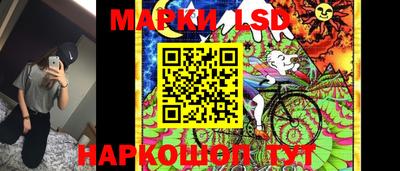 крисы Новозыбков
