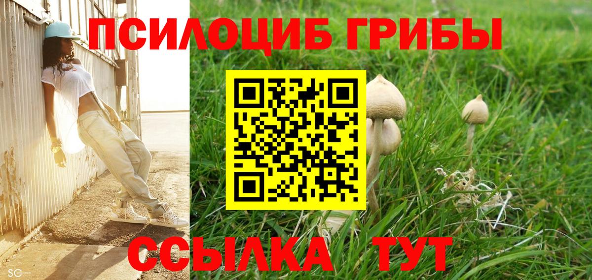 Галлюциногенные грибы прущие грибы  Вход с VPN  Туапсе 